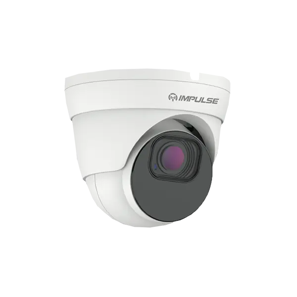 Network dome surveillance